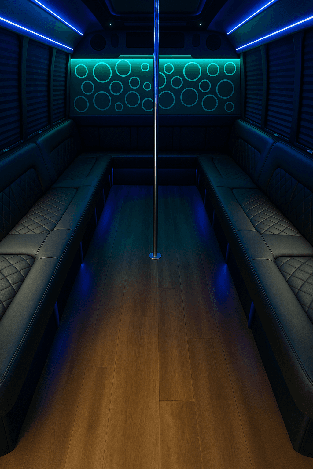 Representative 20 passenger party bus interior