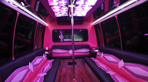 24 Passenger Party Bus Pinky Interior